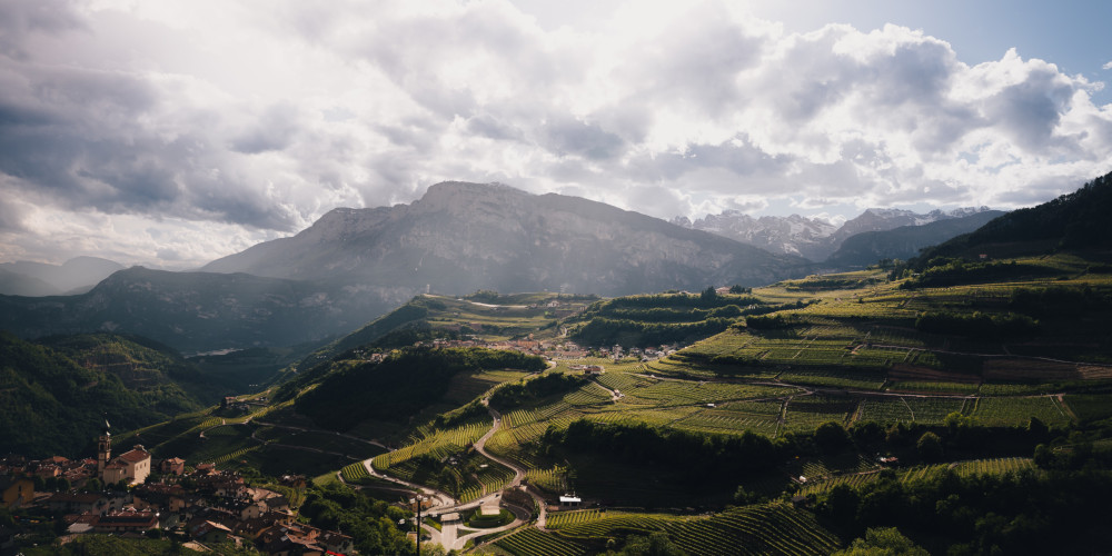 Pilzer in Val di Cembra - Trentino